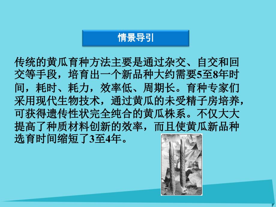 高中生物 第二章 克隆技术 第二节 植物的克隆课件 浙科版选修3_第3页