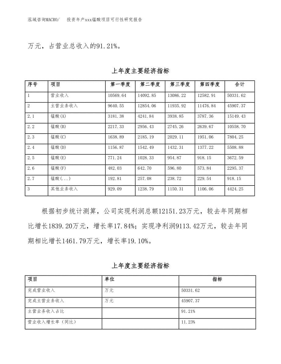 投资年产xxx锰酸项目可行性研究报告_第5页