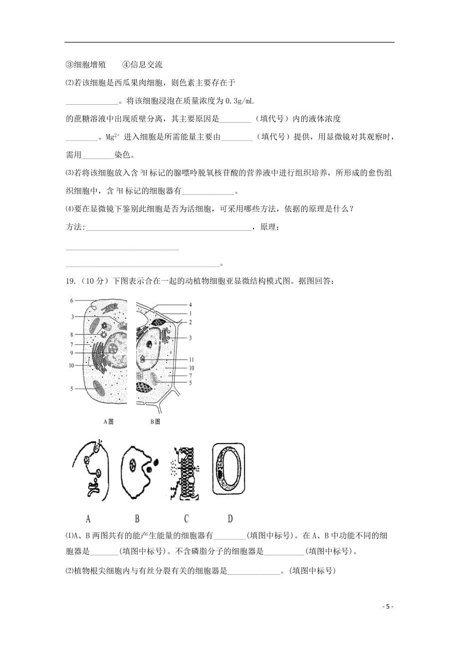 辽宁省葫芦岛市高中生物 第4章 细胞的物质输入和输出滚动测试5（无答案）新人教版必修1_第5页