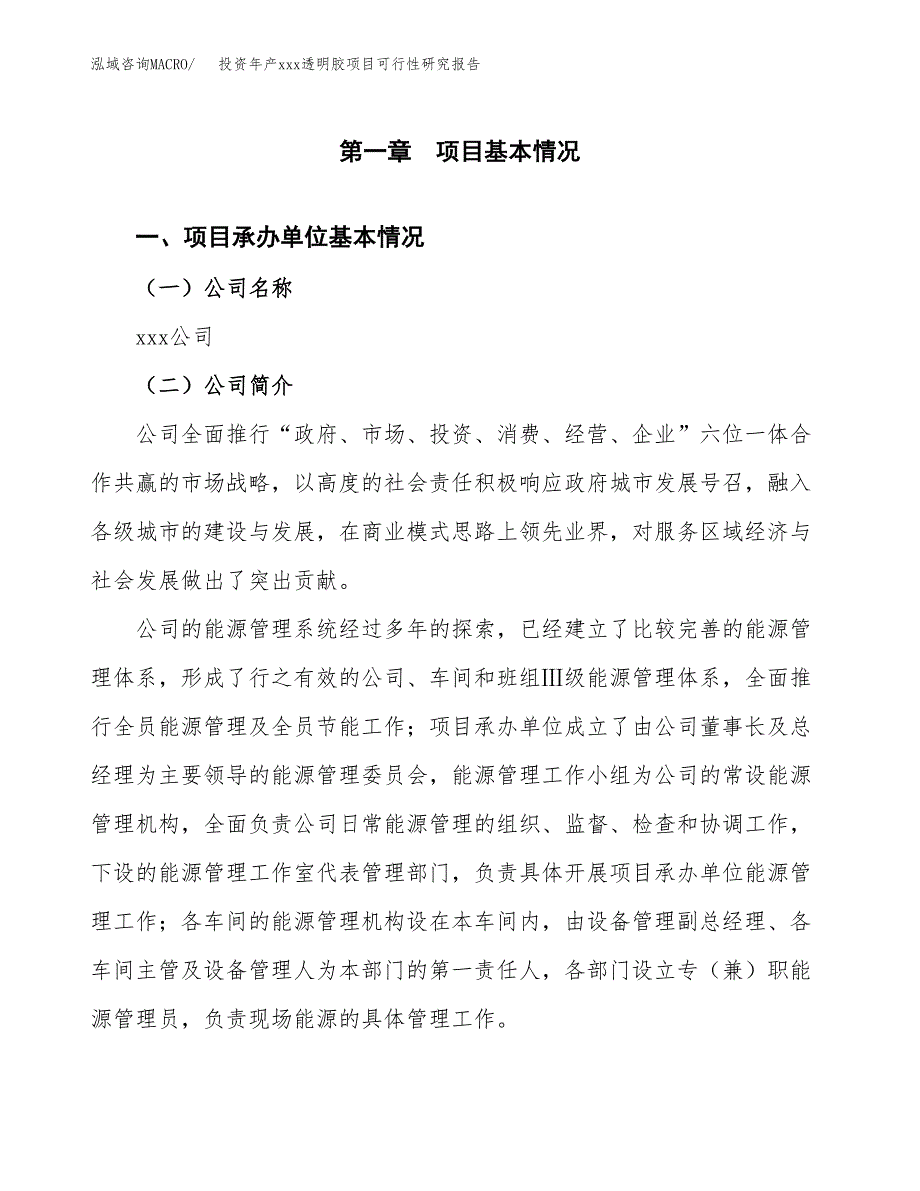 投资年产xxx透明胶项目可行性研究报告_第4页