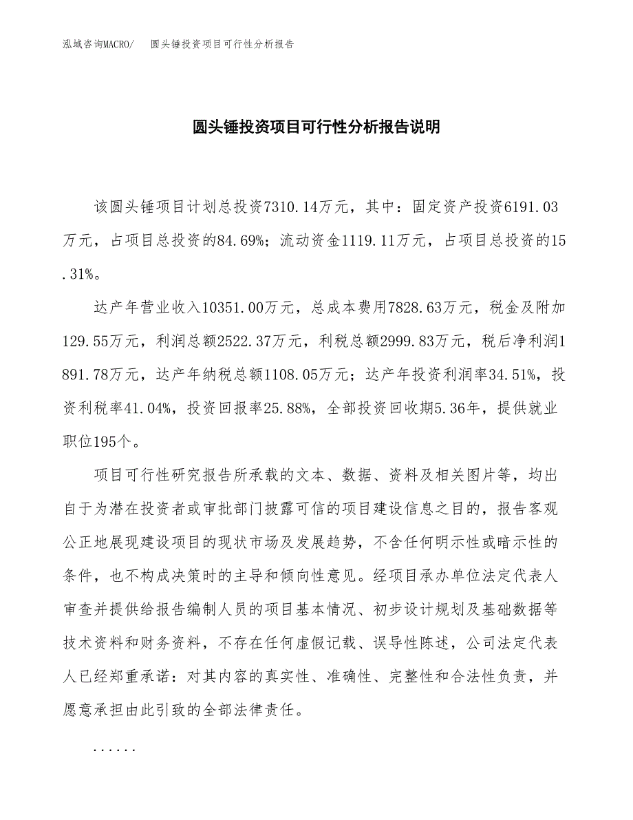 圆头锤投资项目可行性分析报告word可编辑.docx_第2页