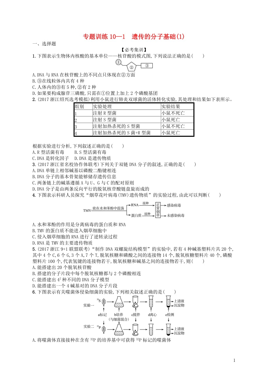 （浙江选考）2018届高考生物 专题训练10 遗传的分子基础（1）_第1页