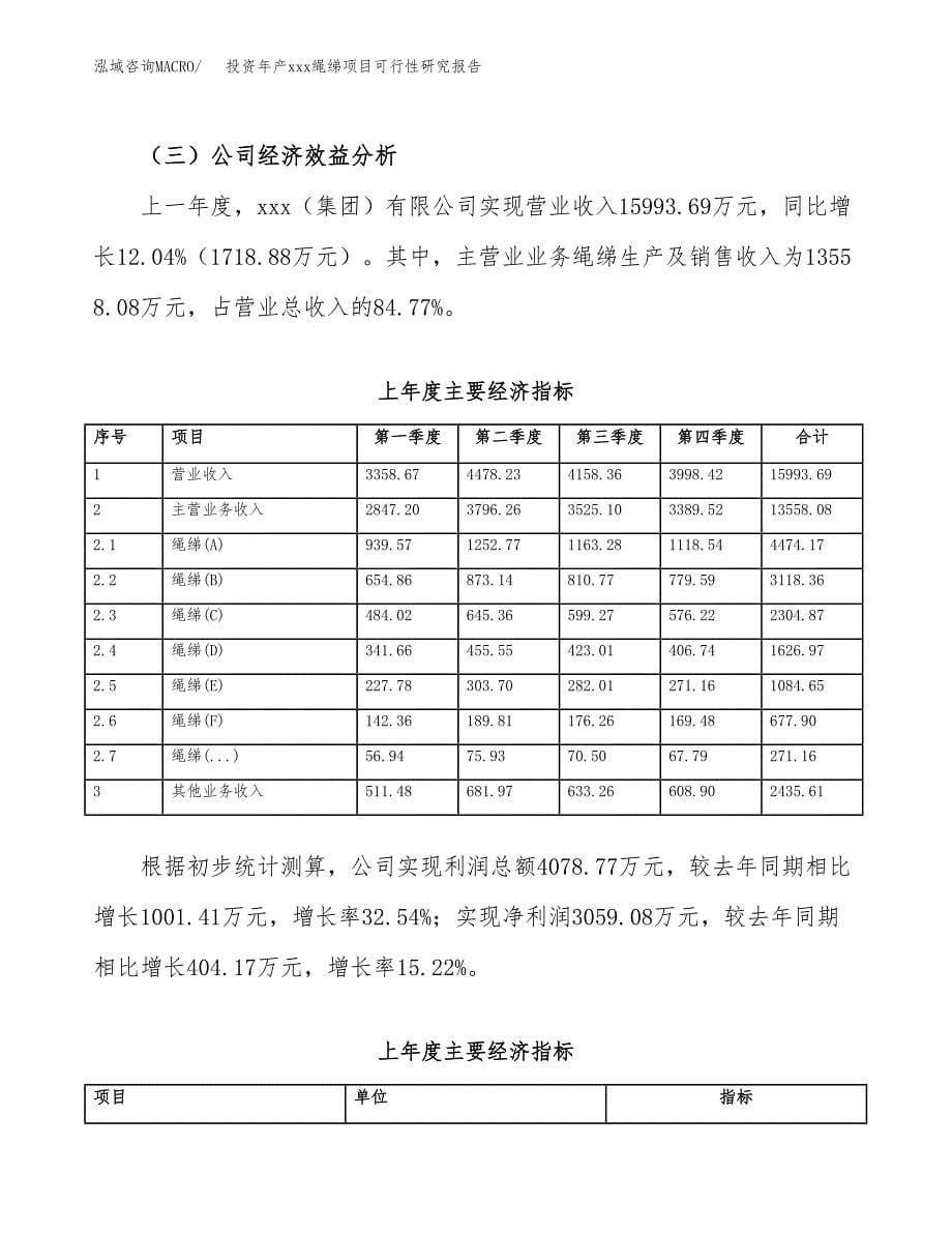 投资年产xxx绳绨项目可行性研究报告_第5页