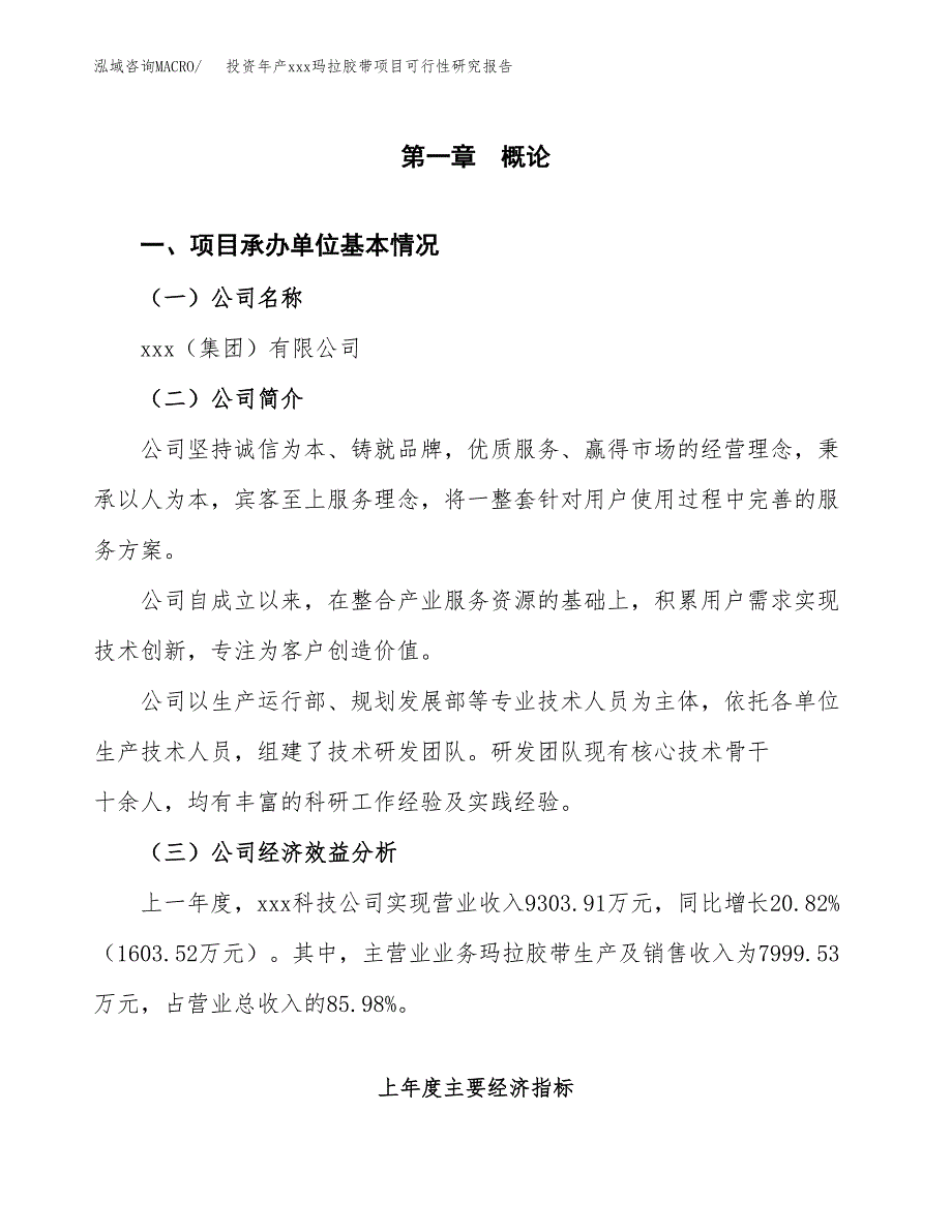 投资年产xxx玛拉胶带项目可行性研究报告_第4页