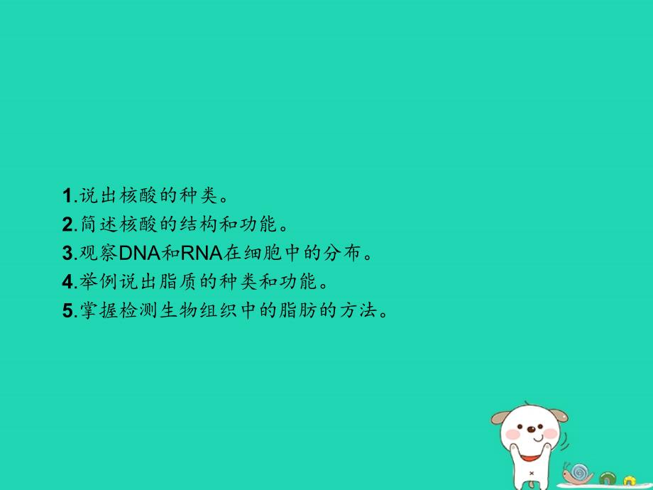 2018-2019高中生物 第2章 细胞的化学组成 2.3.3 核酸、脂质课件 北师大版必修1_第2页