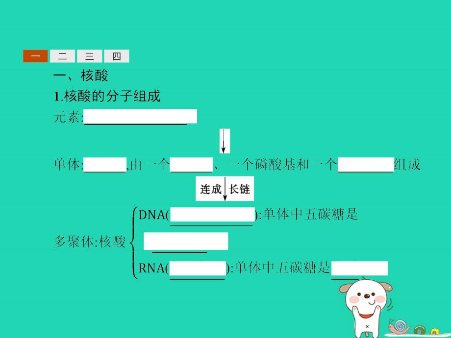 2018-2019高中生物 第2章 细胞的化学组成 2.3.3 核酸、脂质课件 北师大版必修1_第3页