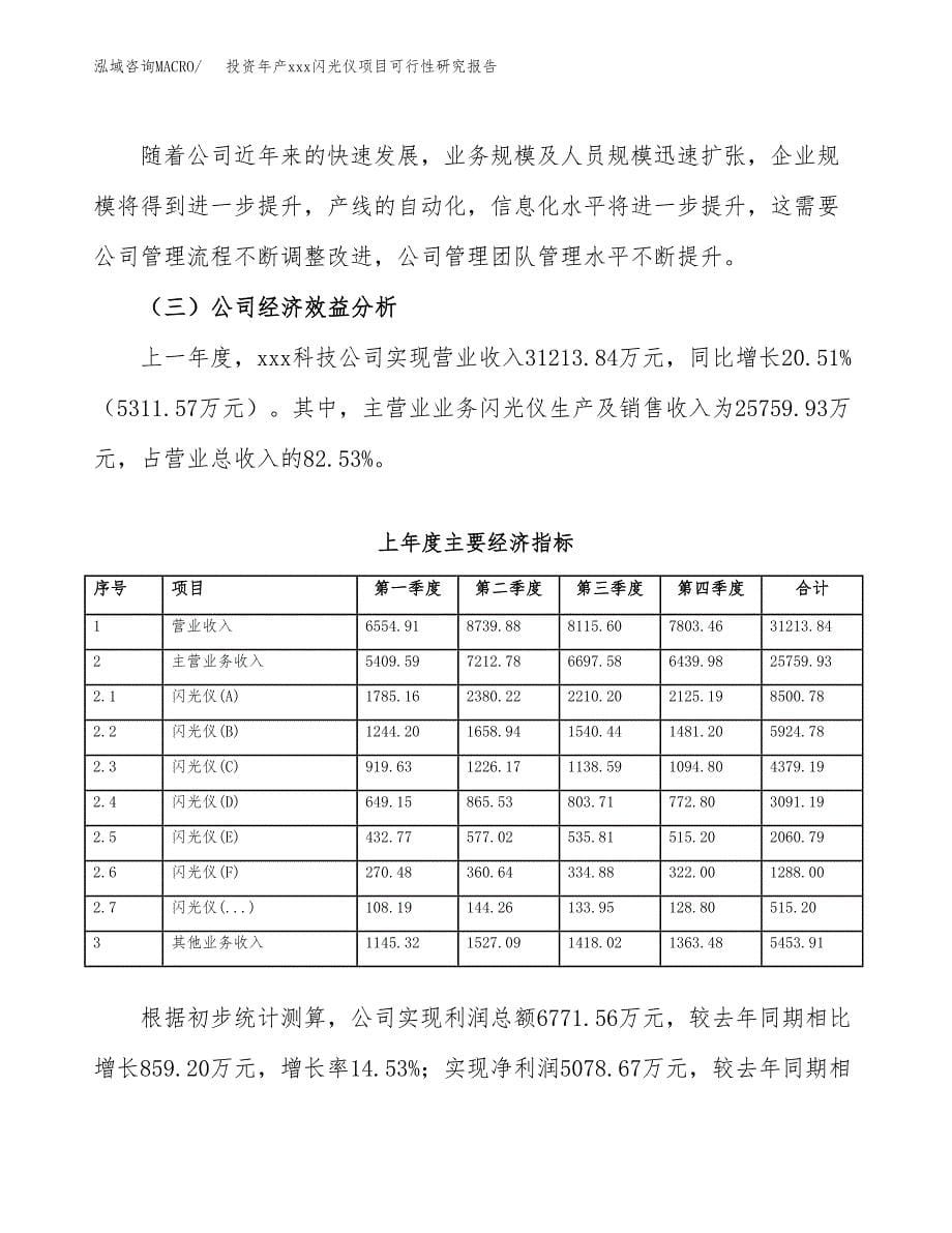 投资年产xxx闪光仪项目可行性研究报告_第5页