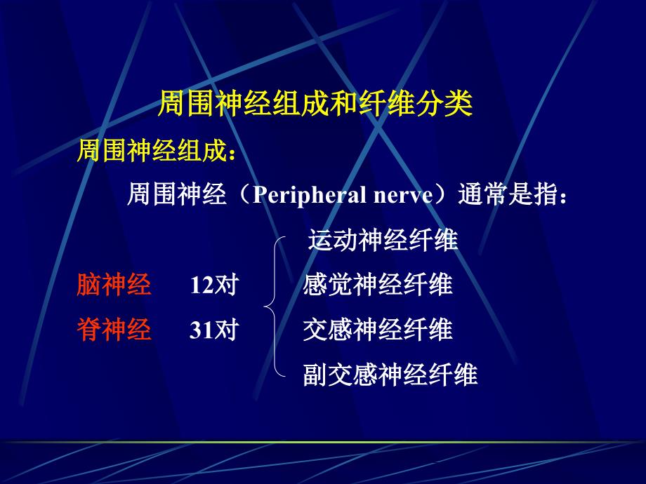 周神经学(1)_第2页