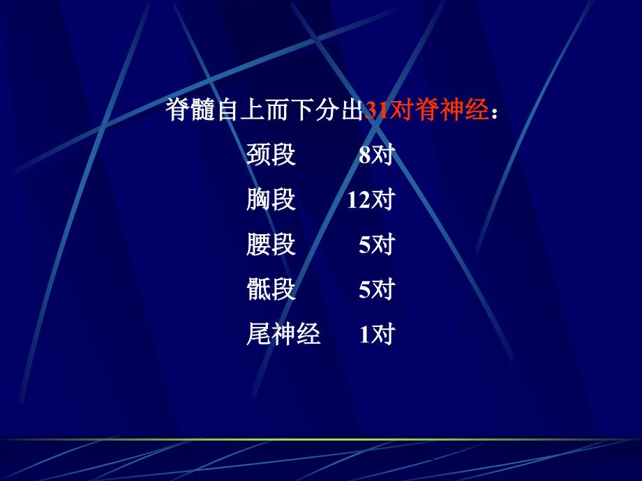 周神经学(1)_第4页