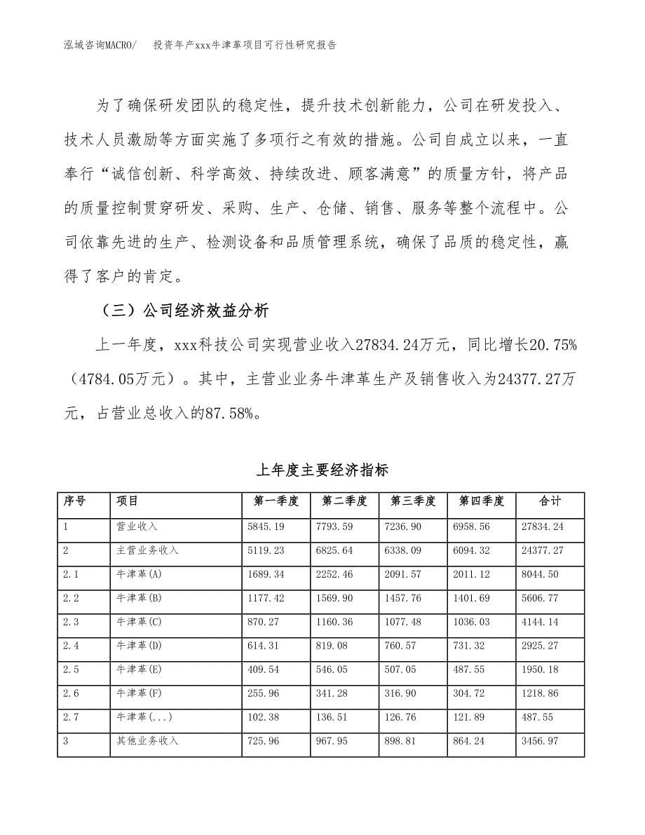 投资年产xxx牛津革项目可行性研究报告_第5页