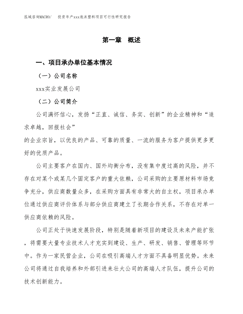 投资年产xxx泡沫塑料项目可行性研究报告_第4页