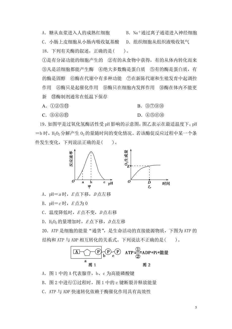 高中生物苏教版必修1期末测试题及答案_第5页