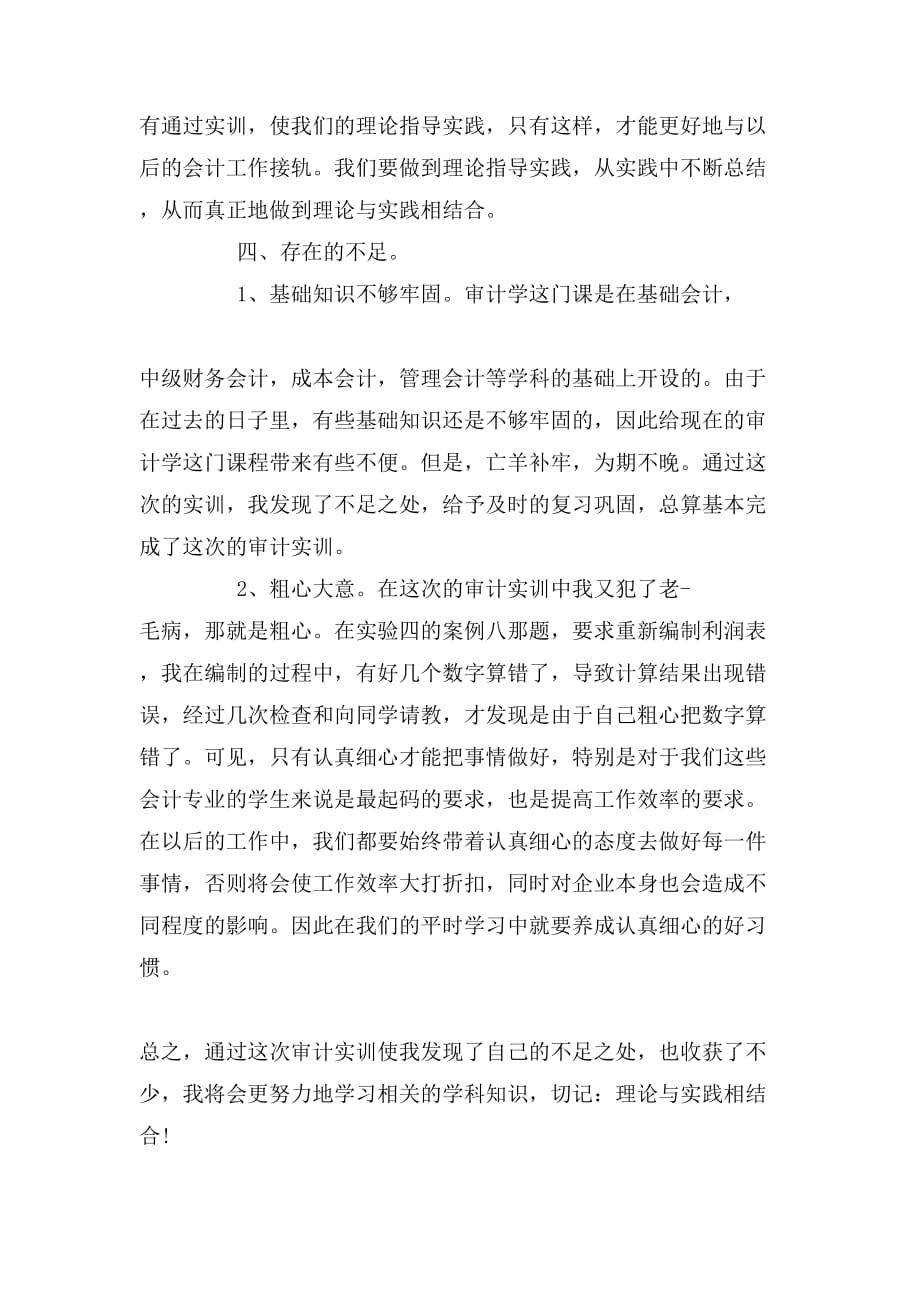 审计综合实习报告_第3页