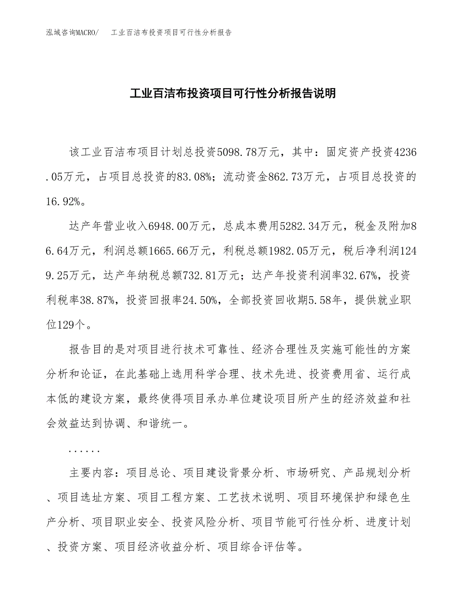 工业百洁布投资项目可行性分析报告word可编辑.docx_第2页