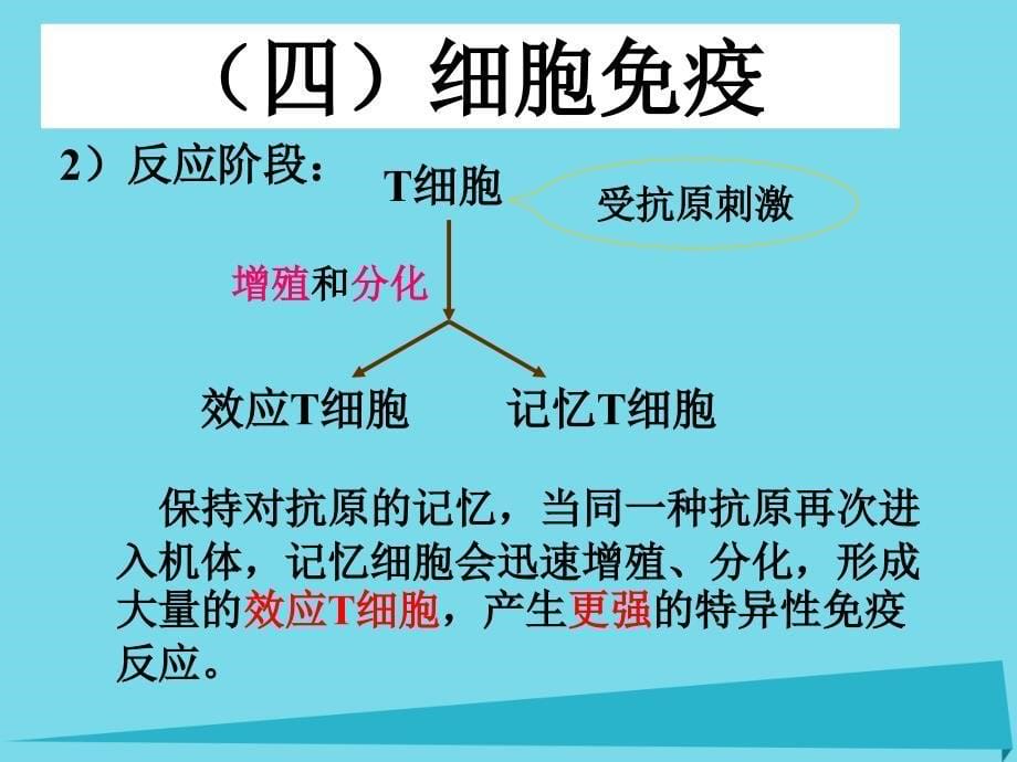 吉林省伊通满族自治县高中生物 第二章 动物和人体生命活动的调节 2.4 免疫调节课件 新人教版必修3_第5页