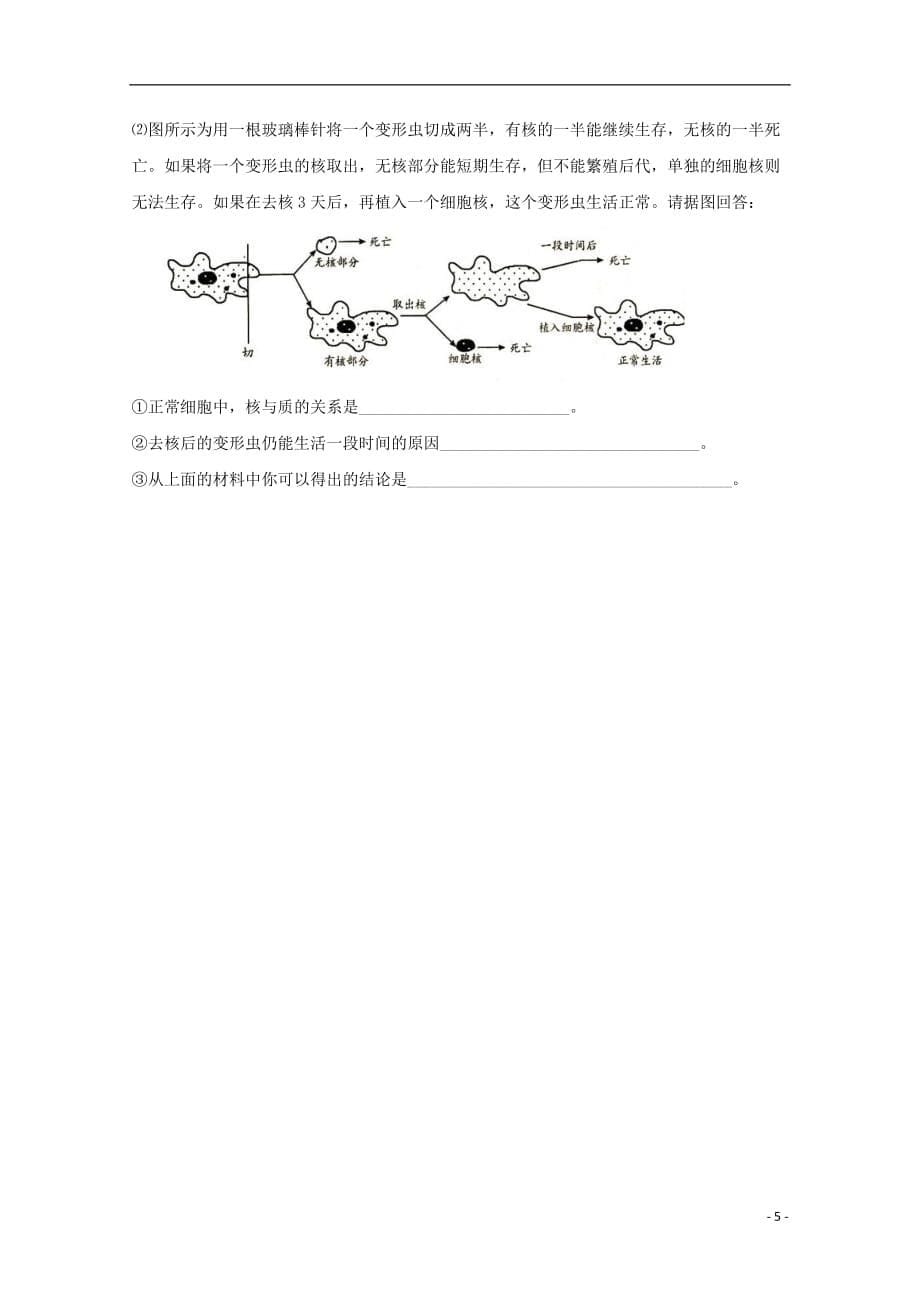 辽宁省葫芦岛市高中生物 第3章 细胞的基本结构滚动测试2（无答案）新人教版必修1_第5页