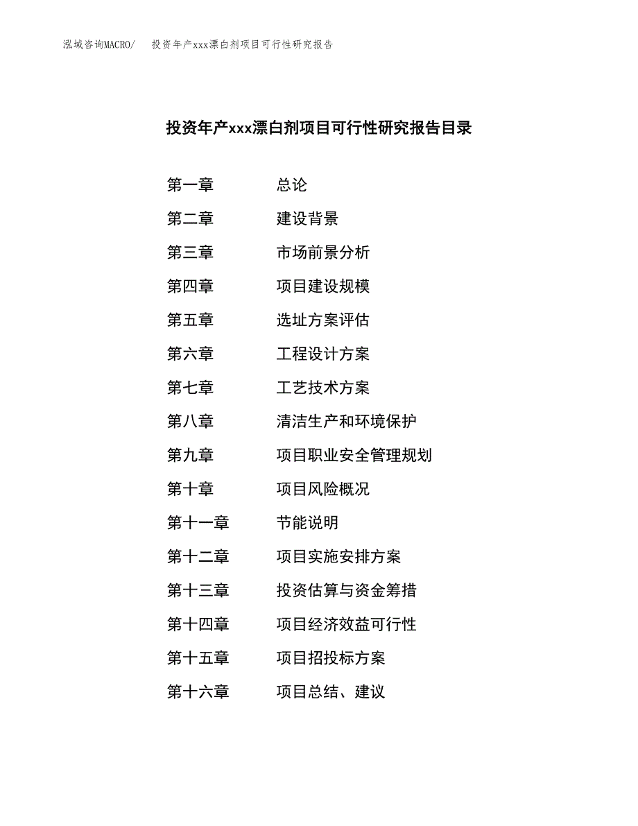 投资年产xxx漂白剂项目可行性研究报告_第3页