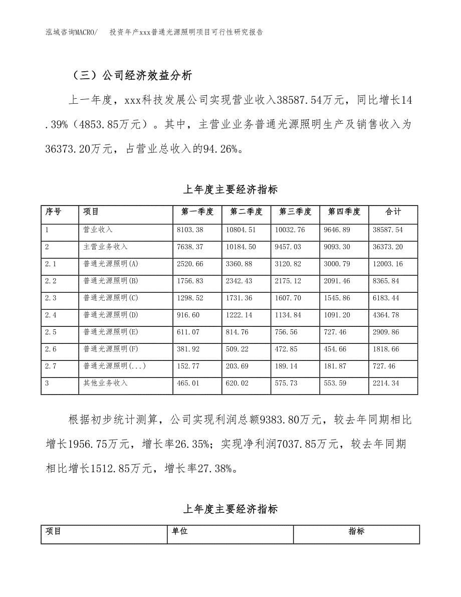 投资年产xxx普通光源照明项目可行性研究报告_第5页