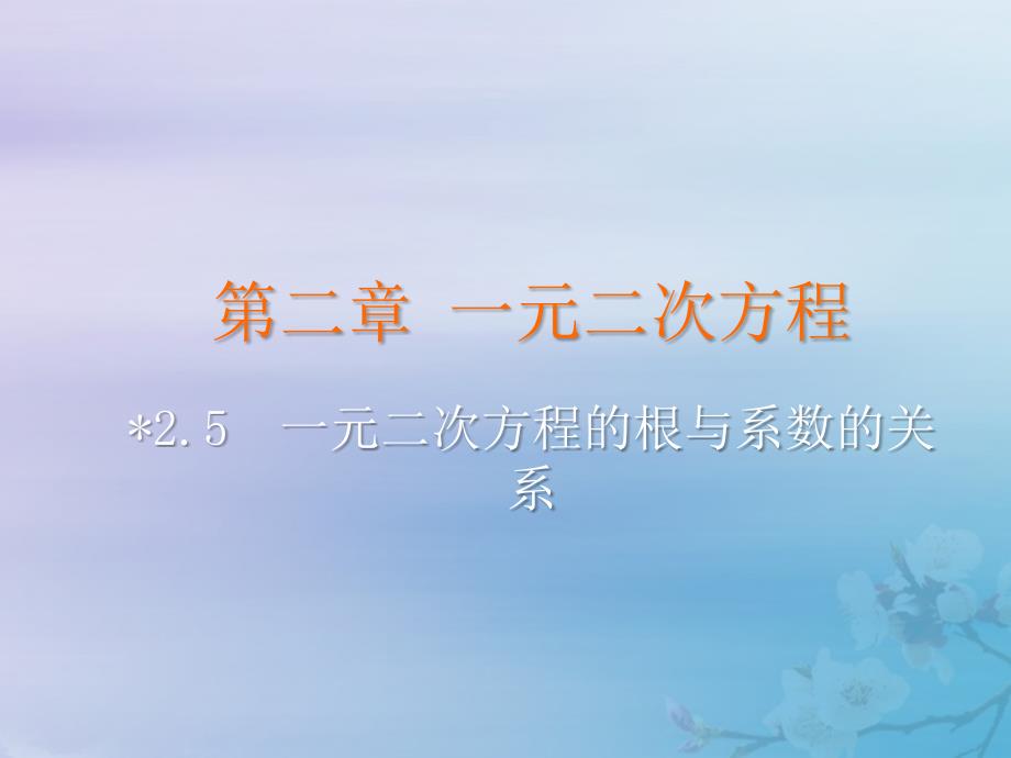 2018-2019学年九年级数学上册 第二章 一元二次方程 5 一元二次方程的根与系数的关系教学课件 （新版）北师大版_第2页