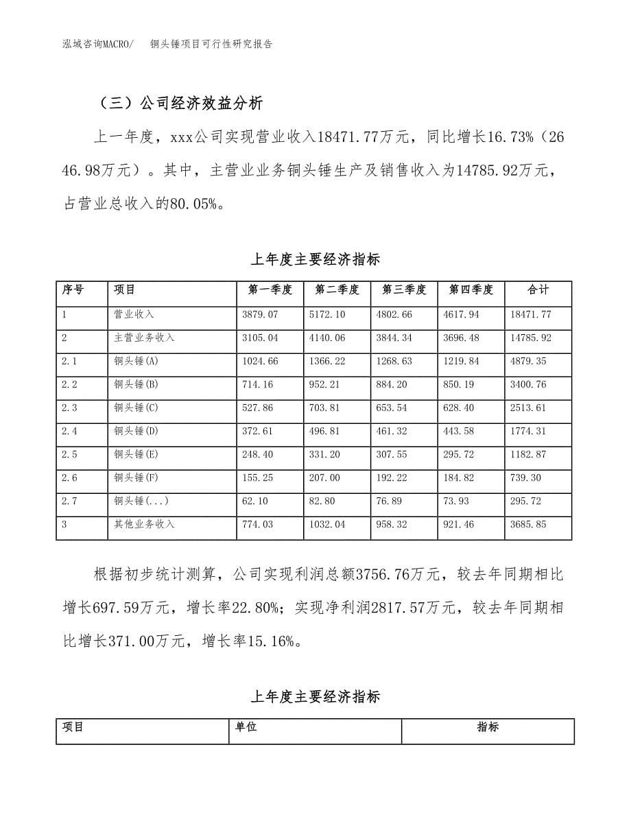 铜头锤项目可行性研究报告word可编辑（总投资9000万元）.docx_第5页