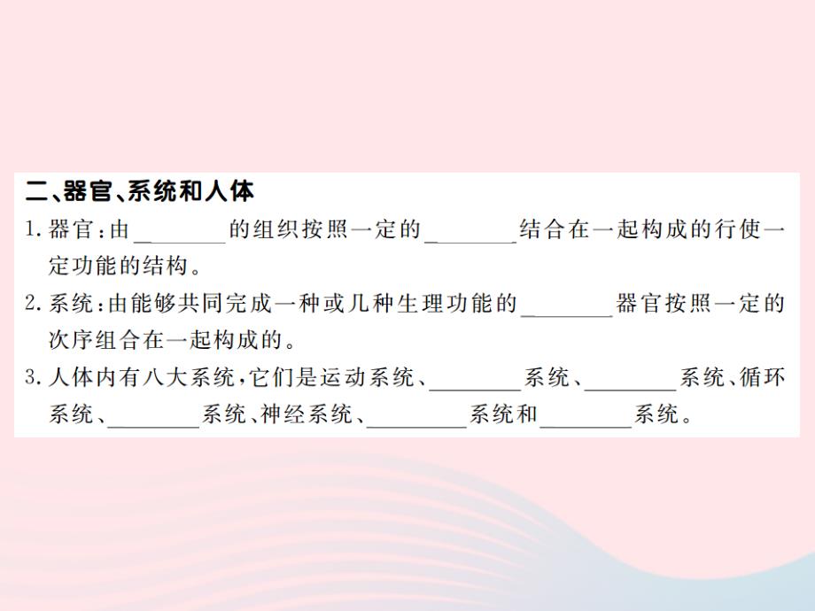 2019秋七年级生物上册 第二单元 第二章 第二节 动物体的结构层次习题课件 （新版）新人教版_第4页