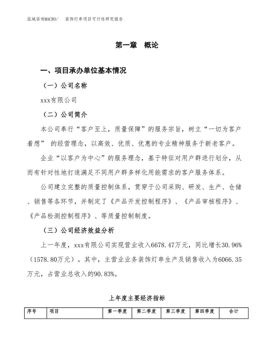 装饰灯串项目可行性研究报告word可编辑（总投资5000万元）.docx_第5页