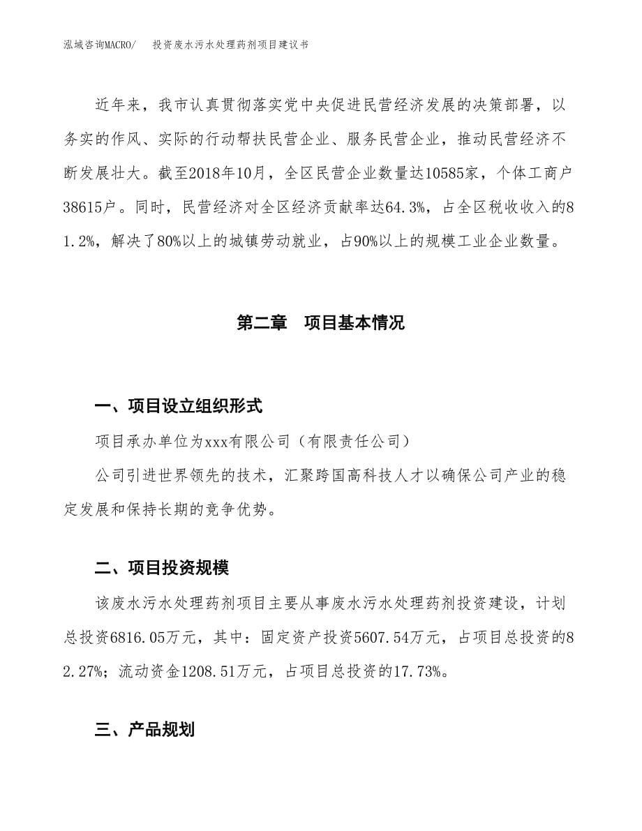 投资废水污水处理药剂项目建议书.docx_第5页