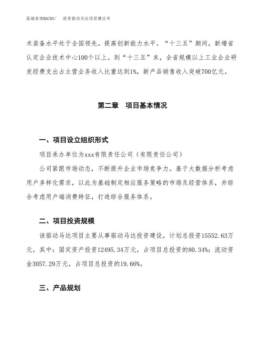 投资驱动马达项目建议书.docx_第5页