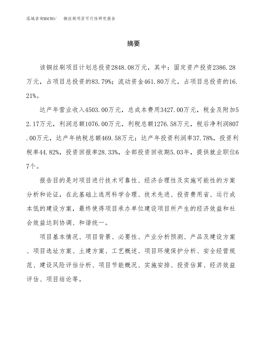 铜丝刷项目可行性研究报告word可编辑（总投资3000万元）.docx_第2页