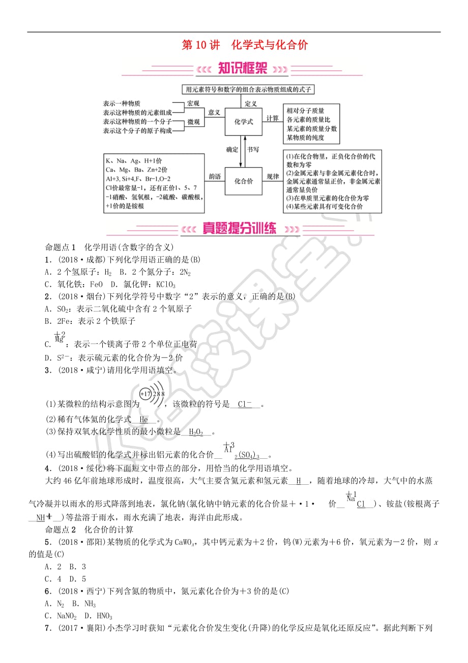 2018-2019中考化学复习主题二物质构成的奥秘第10讲化学式与化合价专题练习_第1页