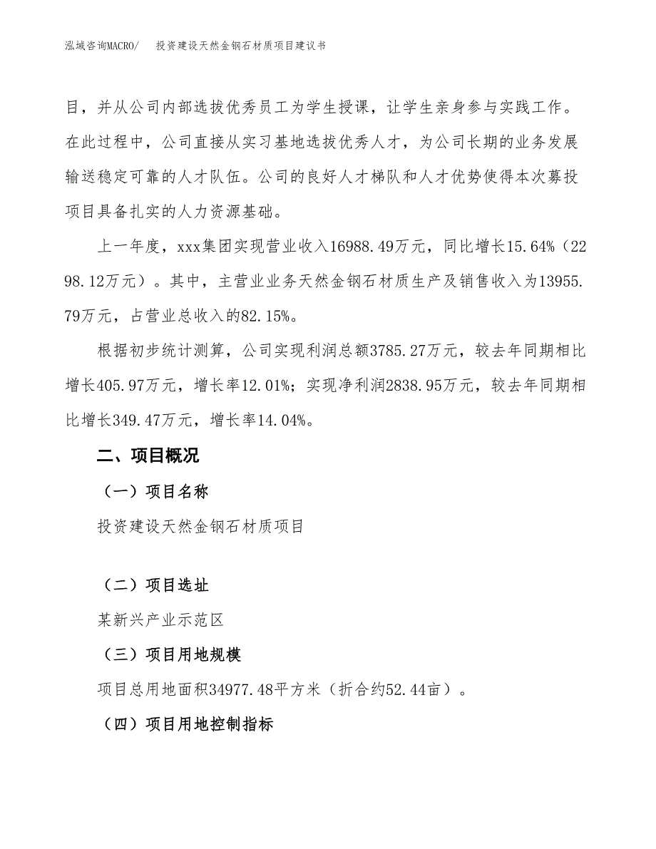 投资建设天然金钢石材质项目建议书.docx_第2页