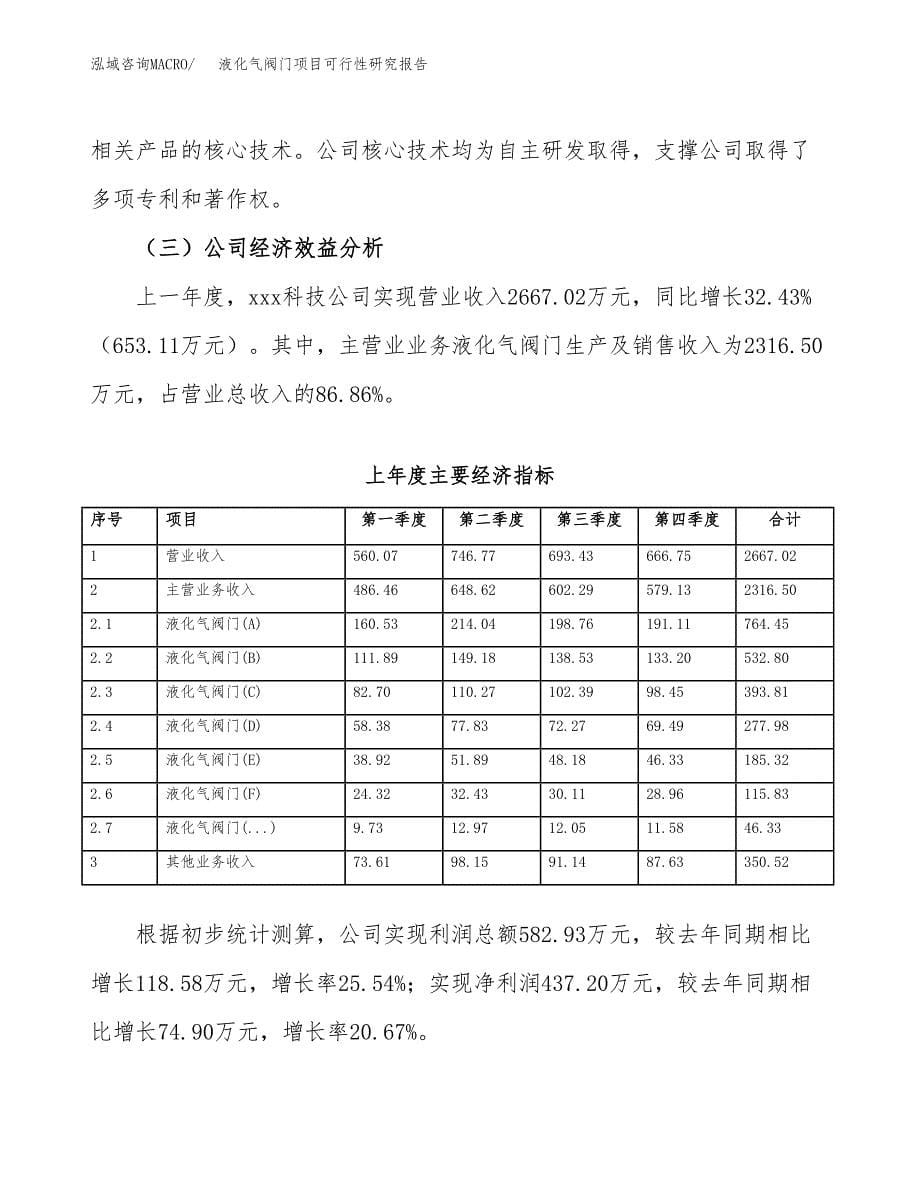 液化气阀门项目可行性研究报告word可编辑（总投资3000万元）.docx_第5页