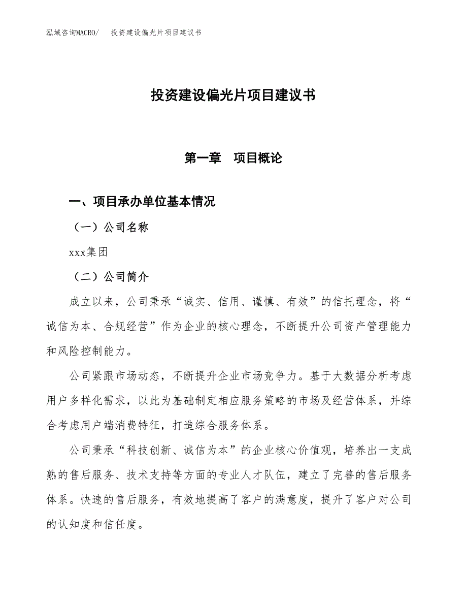 投资建设偏光片项目建议书.docx_第1页