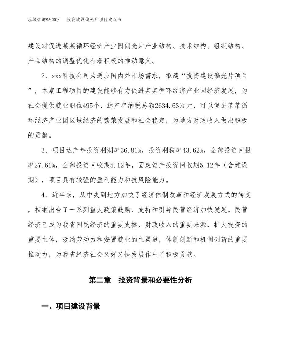 投资建设偏光片项目建议书.docx_第5页