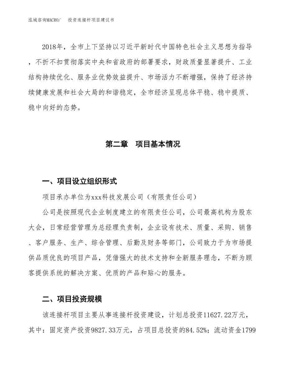 投资连接杆项目建议书.docx_第5页