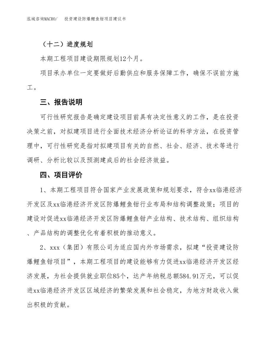 投资建设防爆鲤鱼钳项目建议书.docx_第5页