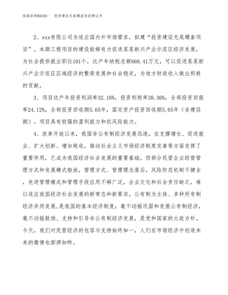 投资建设无尾螺套项目建议书.docx_第5页