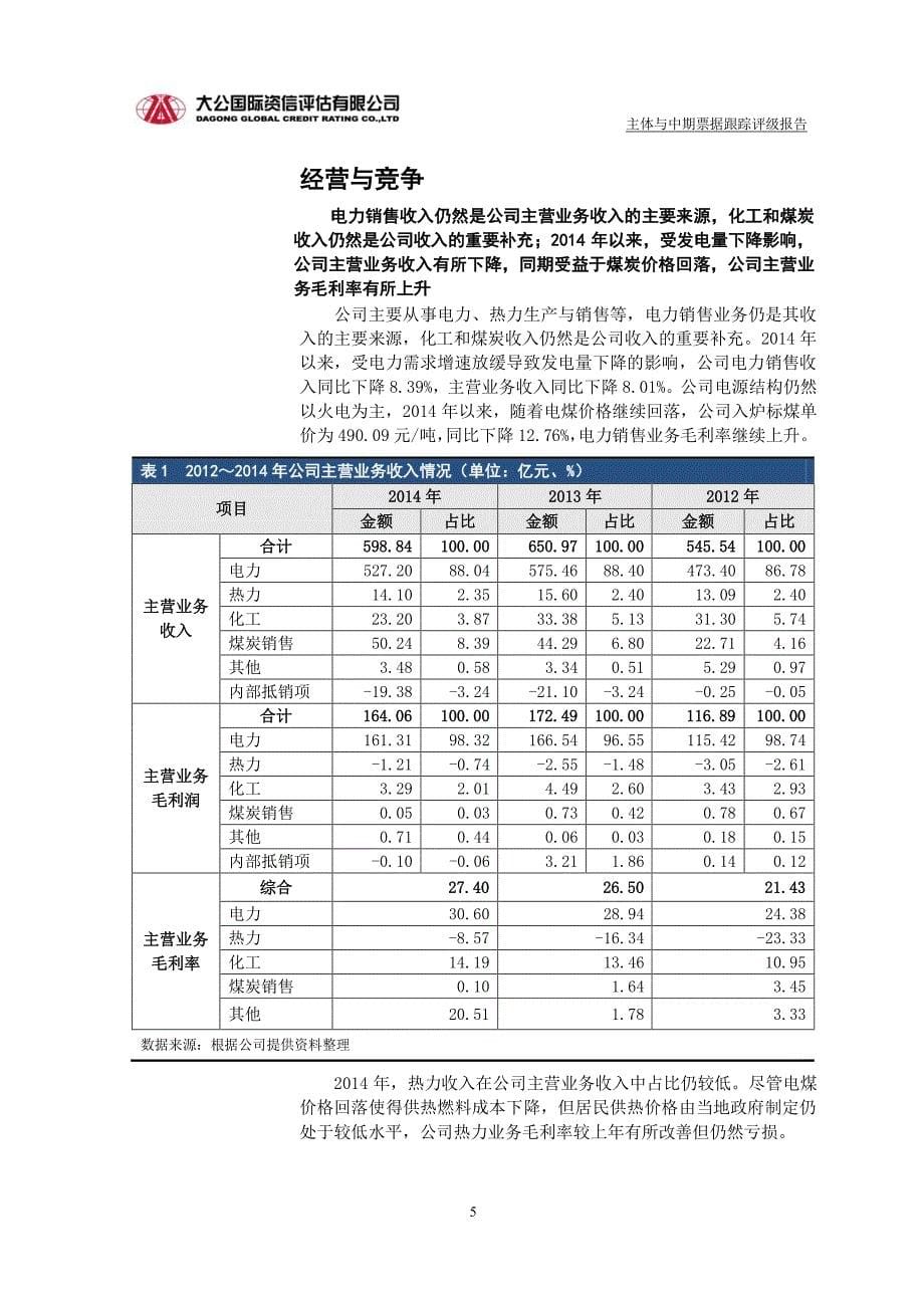 国电电力发展股份有限公司主体与2013年度第一期、2014年度第一期中期票据跟踪评级报告_第5页