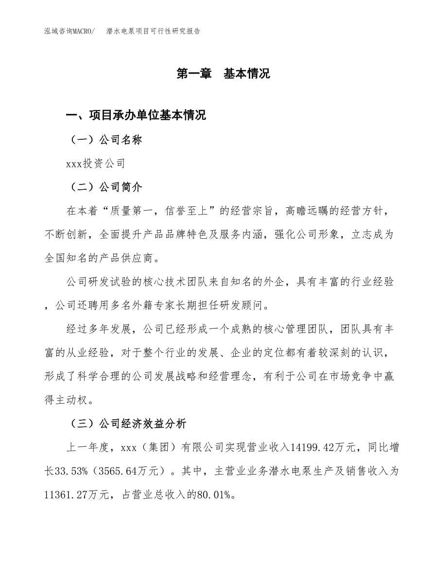 潜水电泵项目可行性研究报告word可编辑（总投资15000万元）.docx_第5页