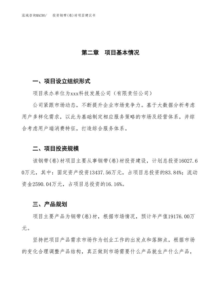 投资钢带(卷)材项目建议书.docx_第5页