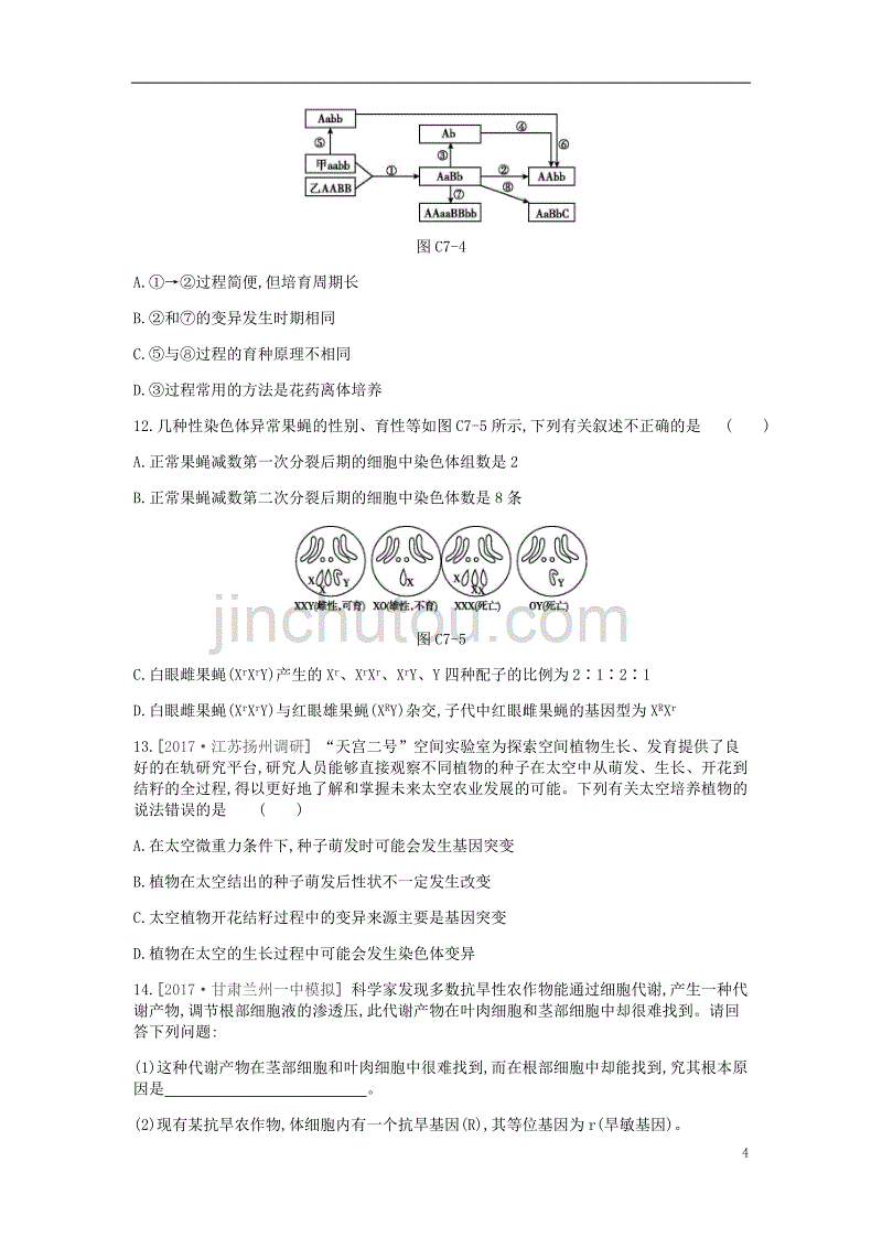 2019届高考生物一轮复习第7单元变异、育种与进化常考易错训练.doc_第4页