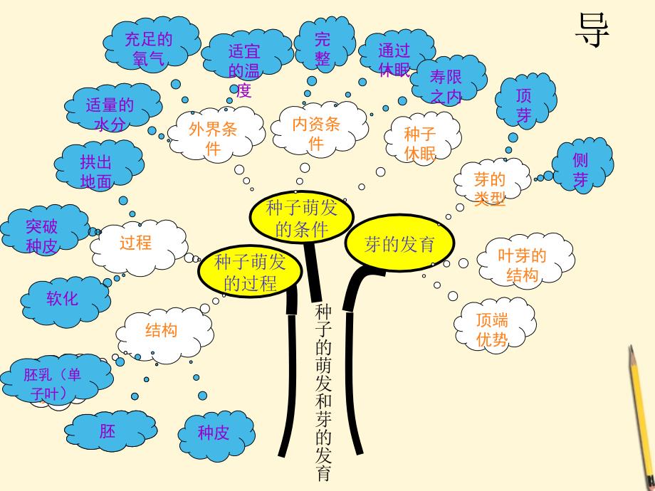 八年级生物上册《种子萌发过程的》精品课件_第4页