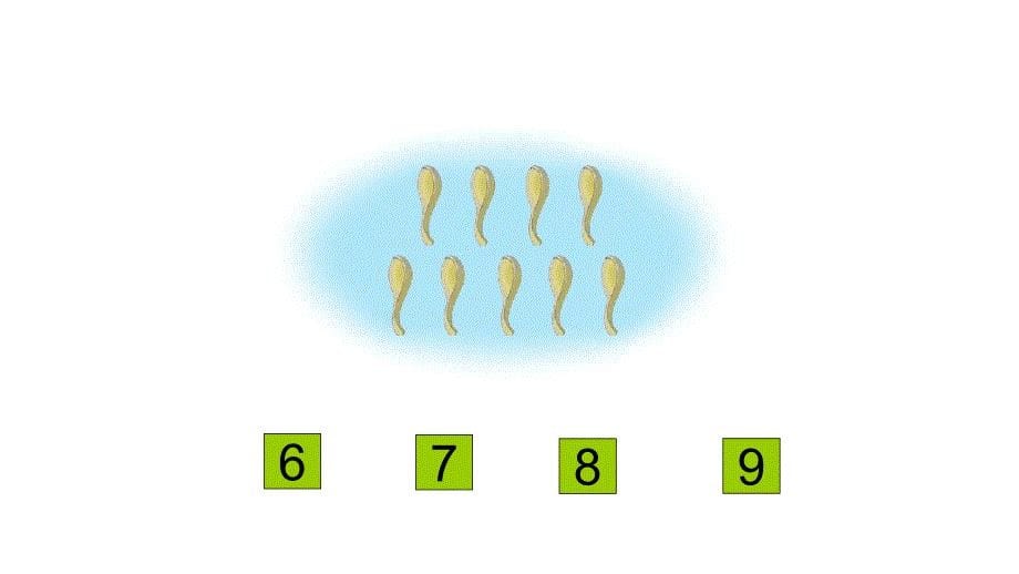 一年级上册数学课件—2.1.2 6_9的认识和读、写 ▏冀教版 (2014秋)(共16张PPT)_第5页