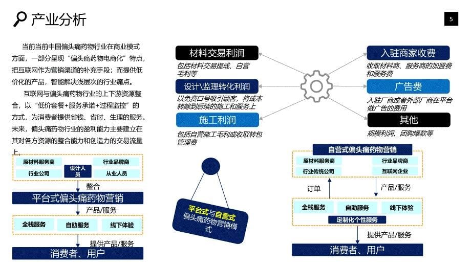 偏头痛药物行业市场预测咨询调研_第5页