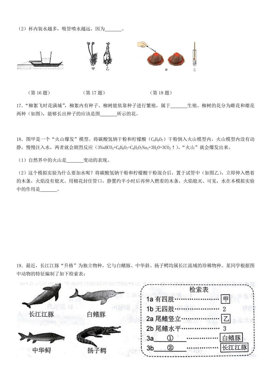 2018台州初中考科学试卷和答案.doc_第5页