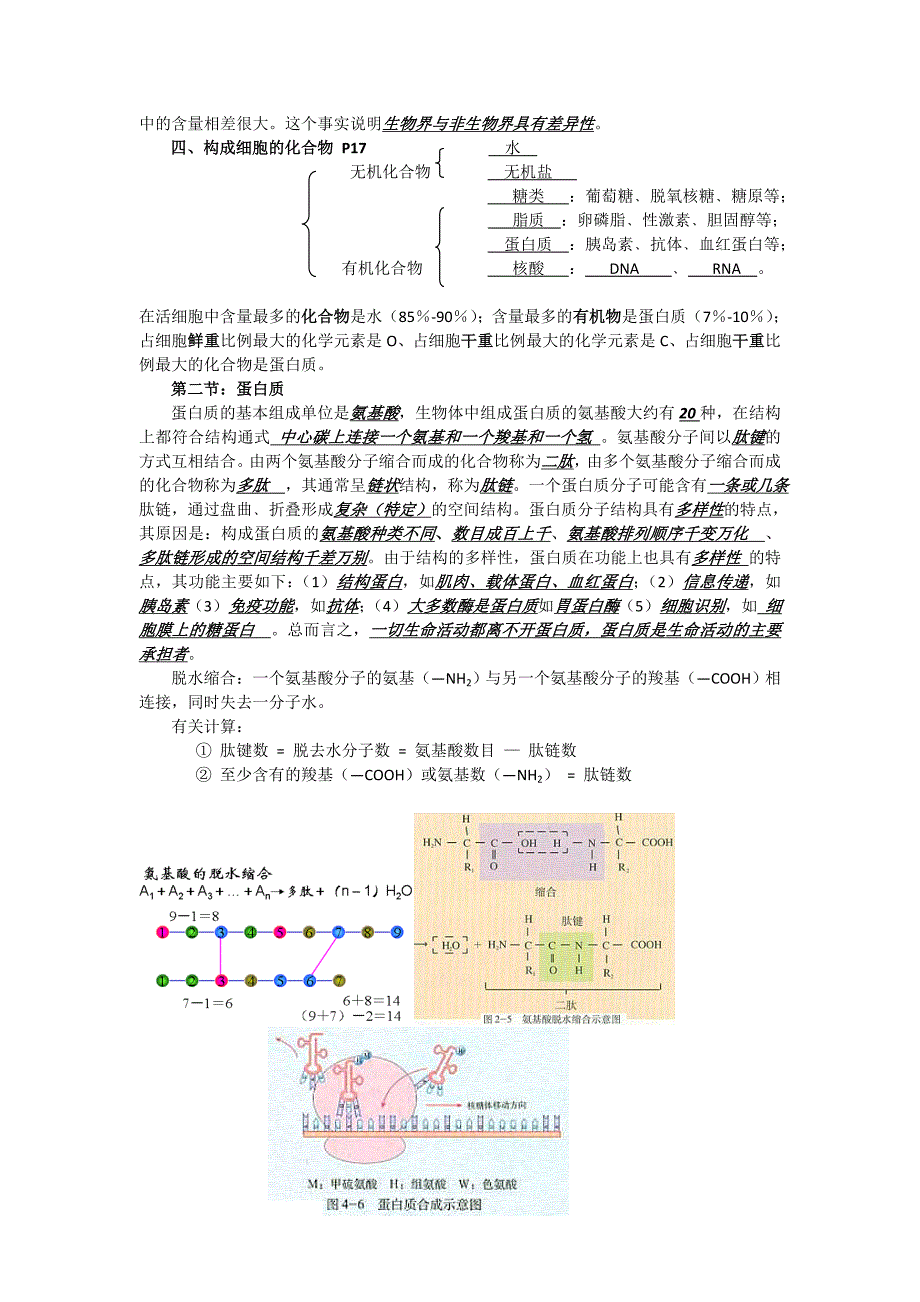 高考必备高三生物知识点大全_图文_第2页