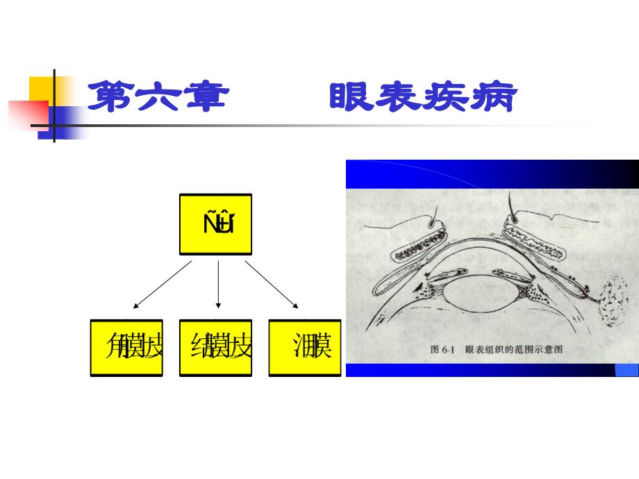 眼科学眼表疾病_第1页