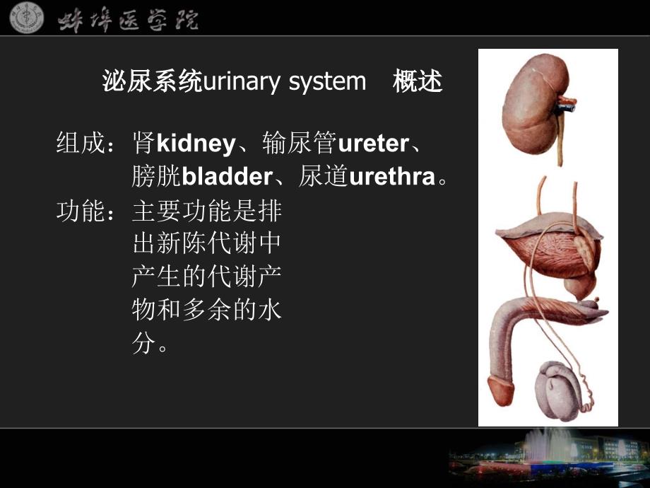 多媒体教学系列课件之一_第2页