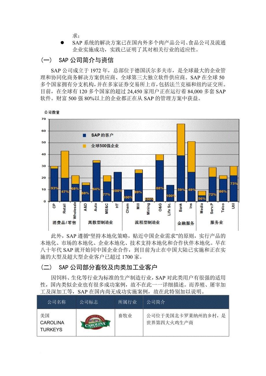 sap可行性报告_第5页