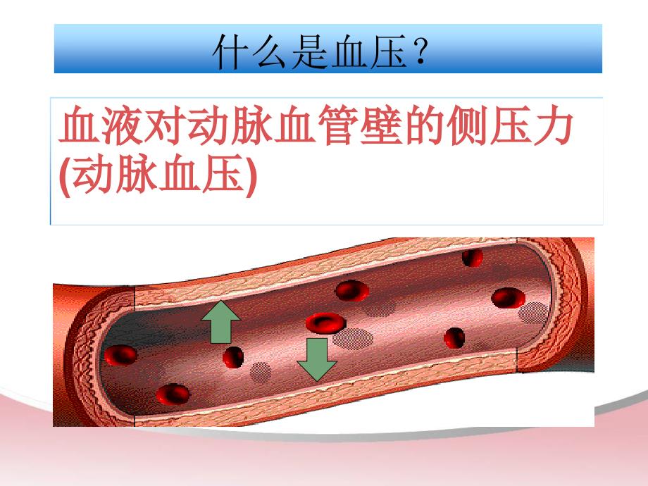 老年人高血压健康知识宣教资料_第2页